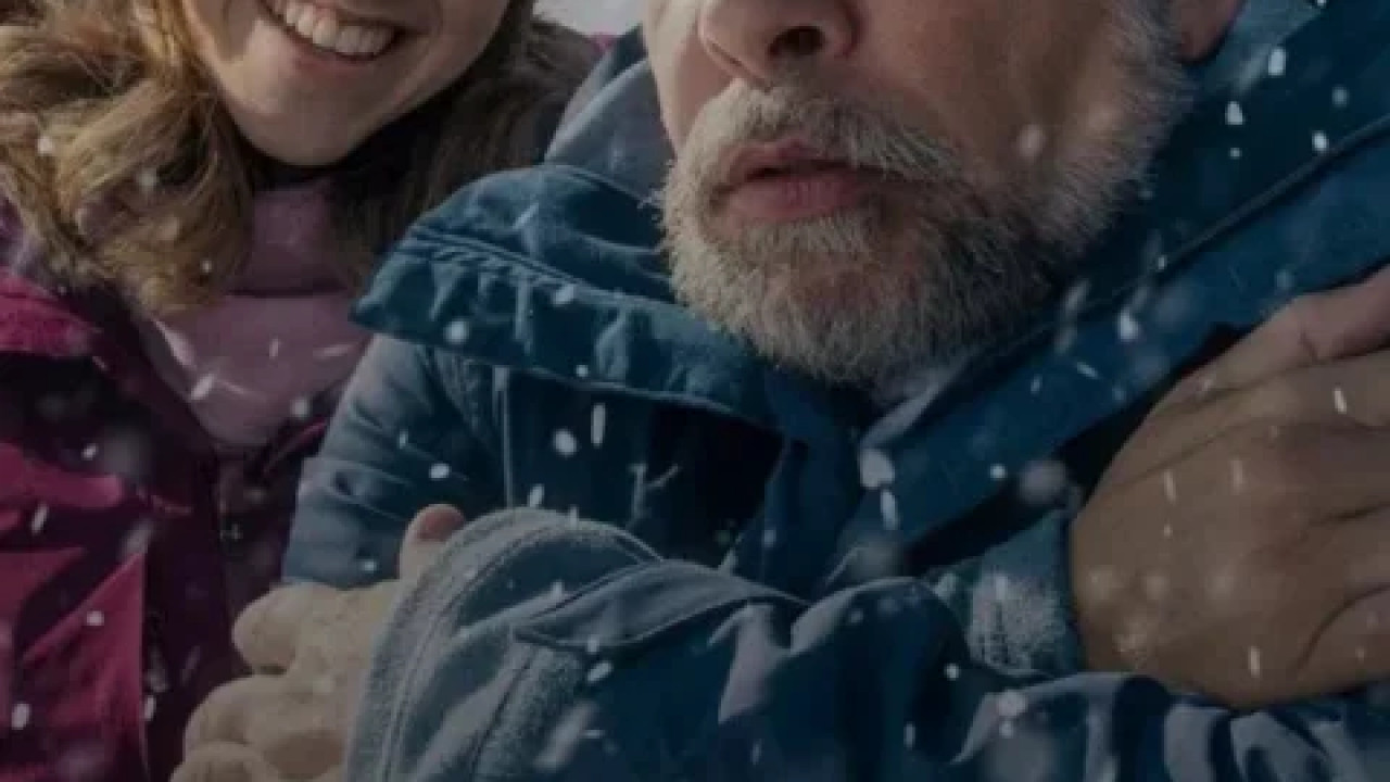 Almost Family ( 2025 )