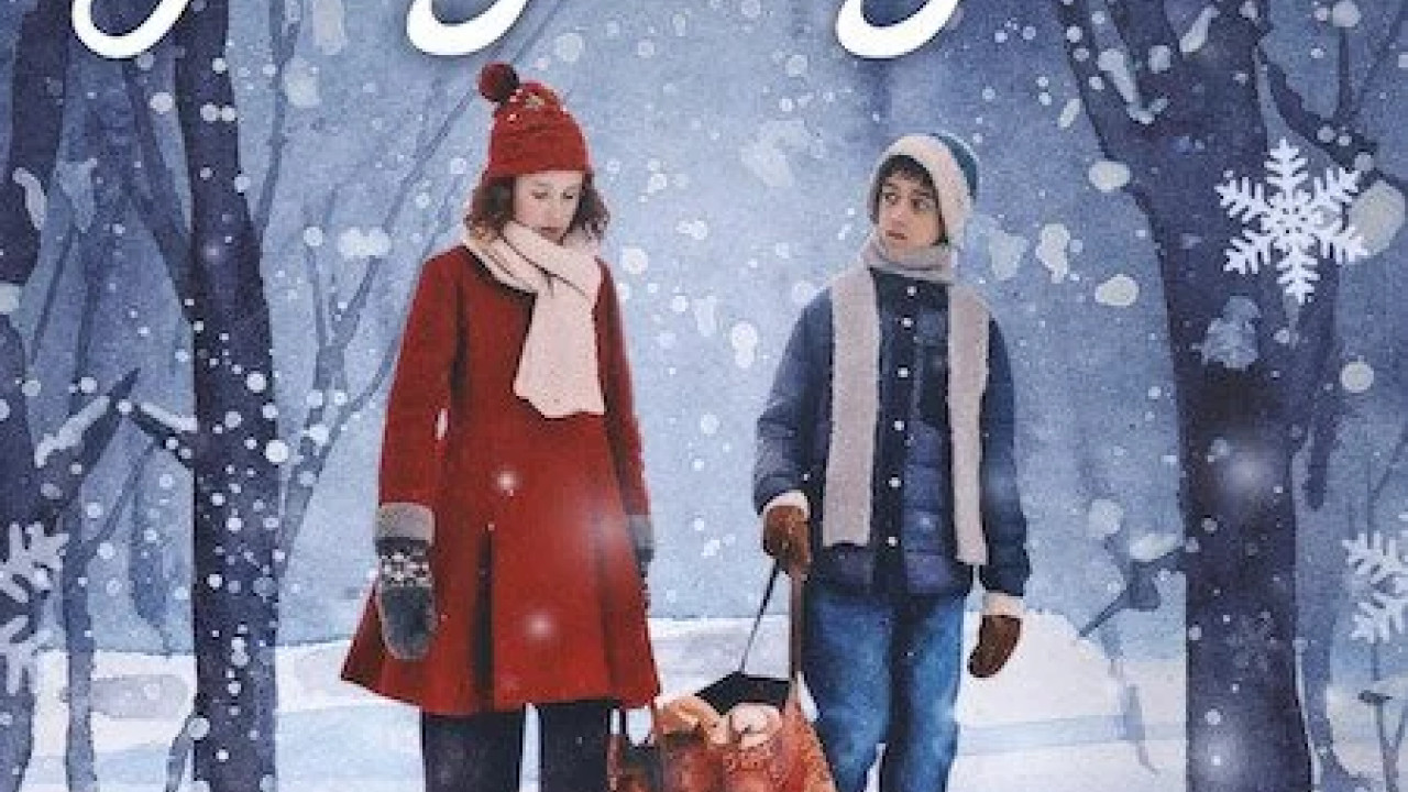 The Snow Sister ( 2024 )