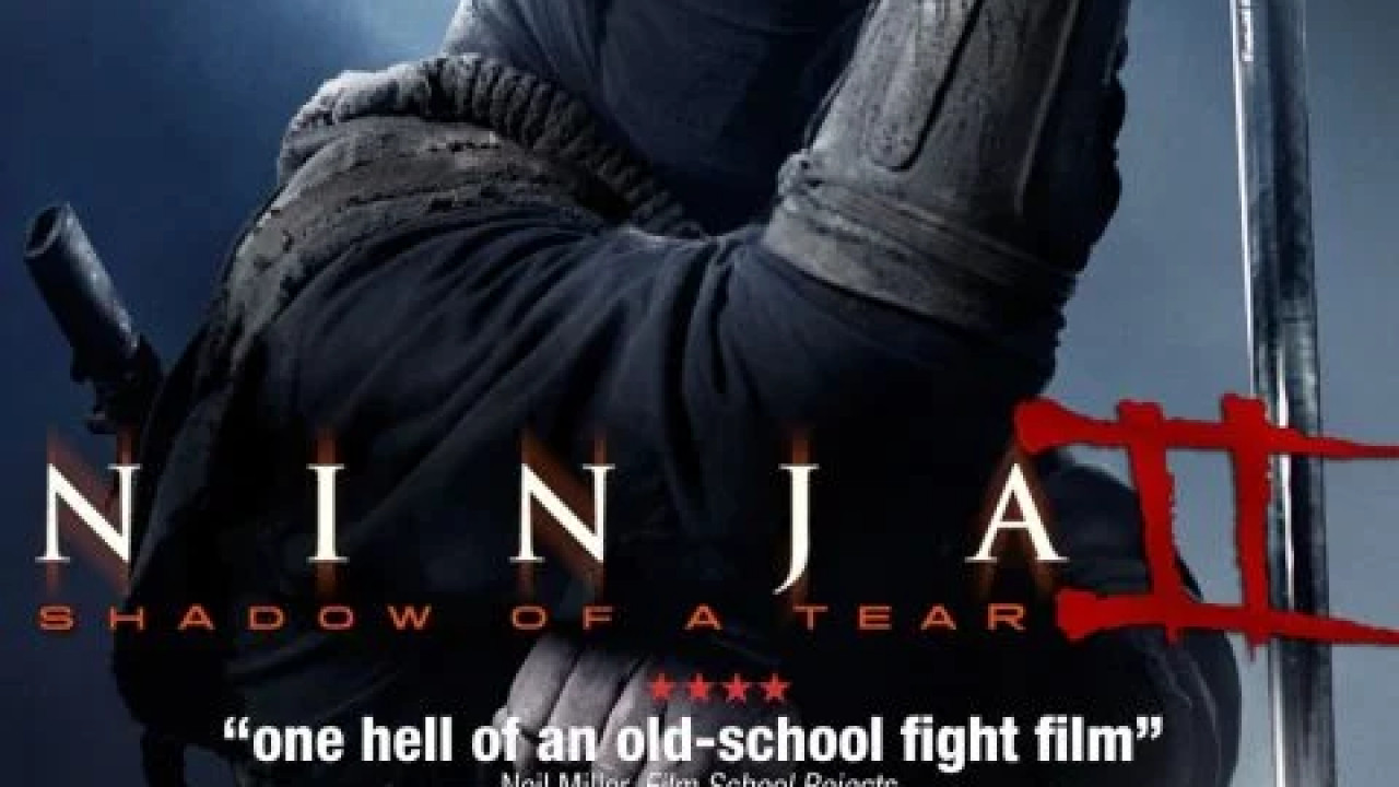 Ninja: Shadow of a Tear ( 2013 )