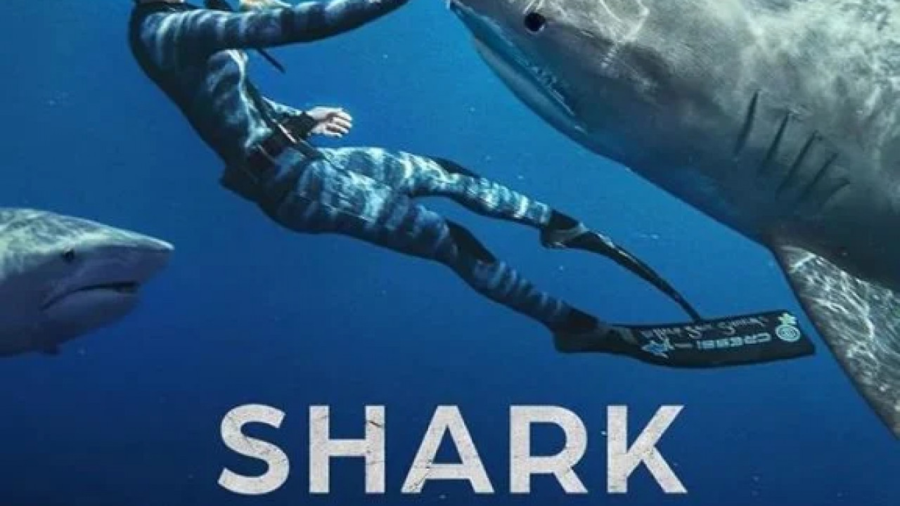 Shark Whisperer ( 2025 )