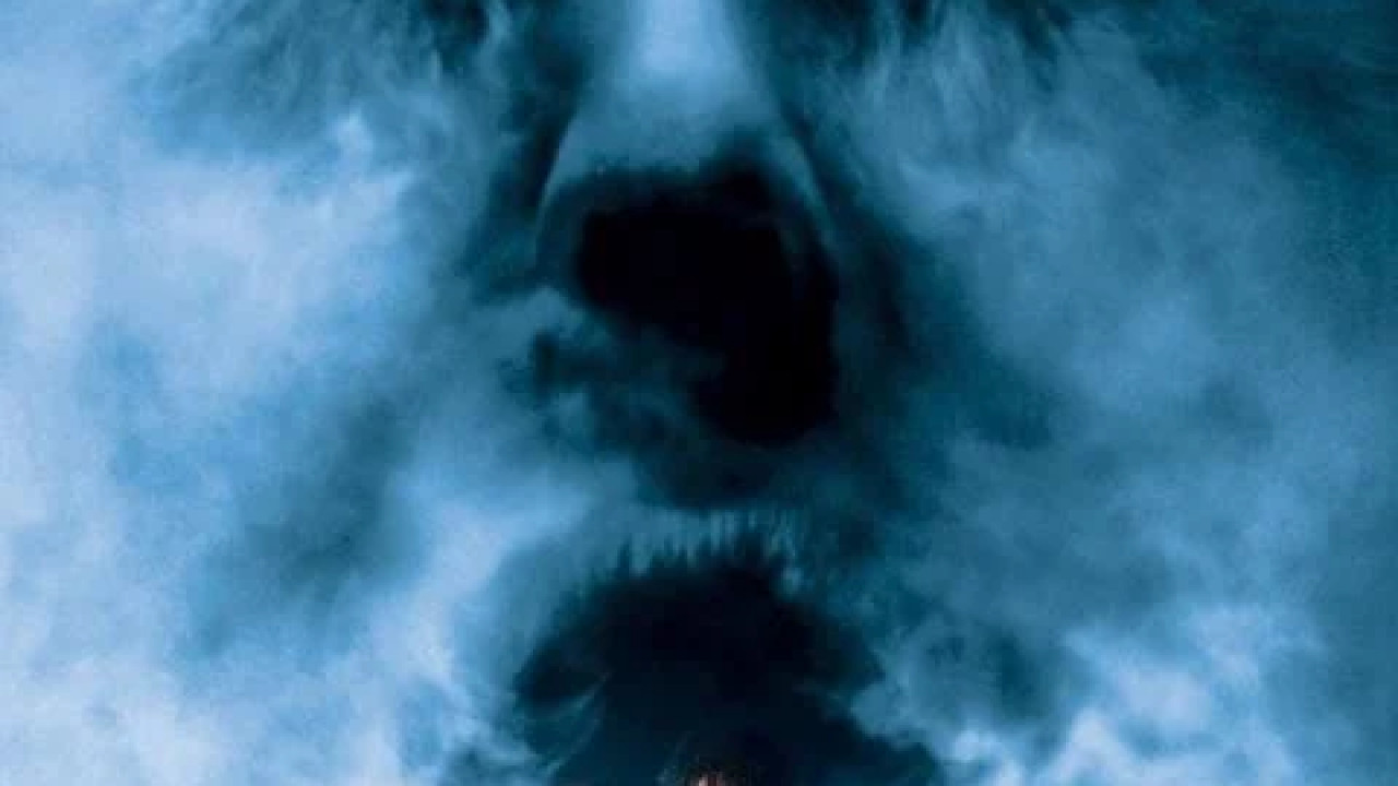 The Fog ( 2005 )