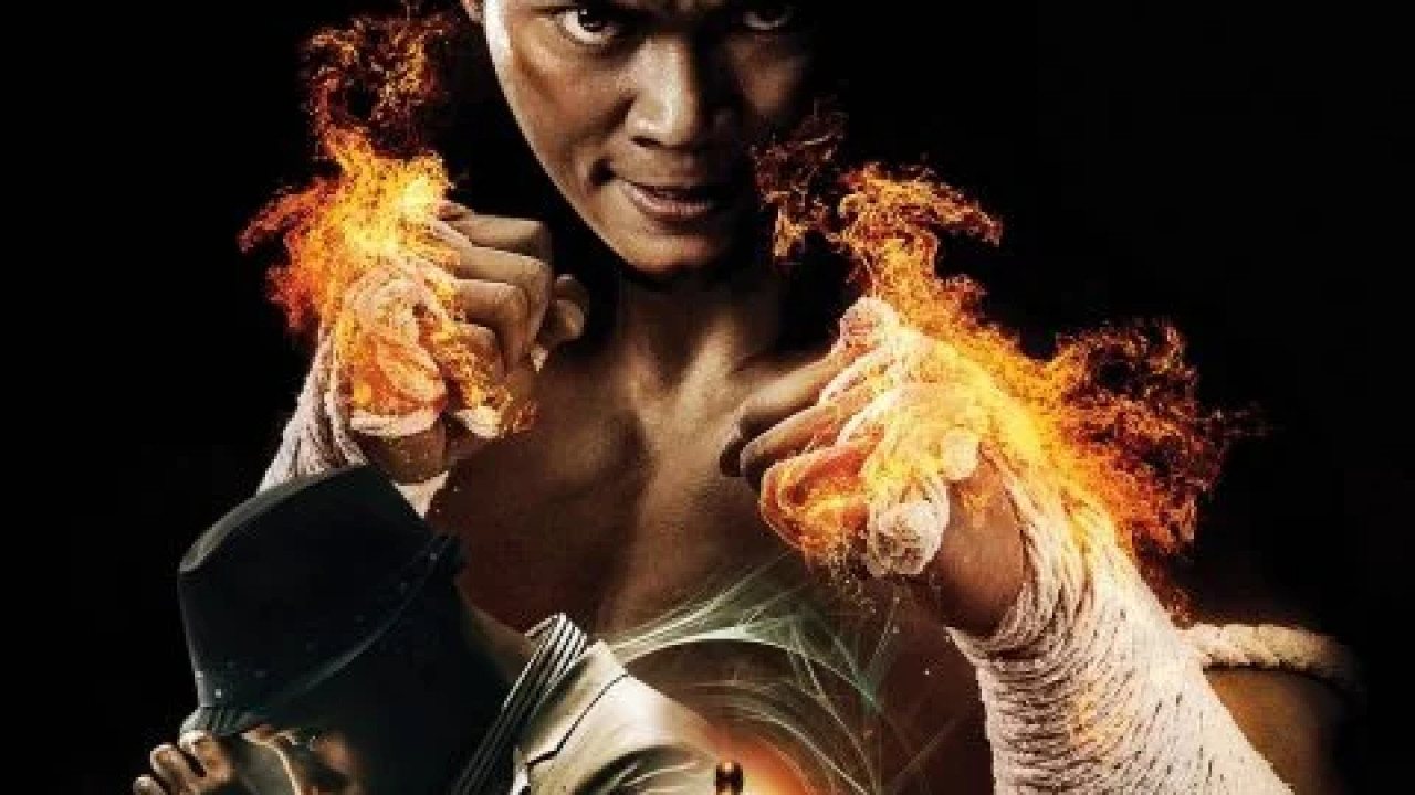 The Protector 2 ( 2013 )