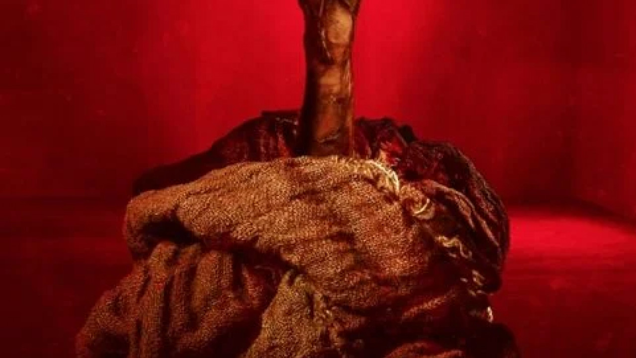 Bag of Lies ( 2024 )