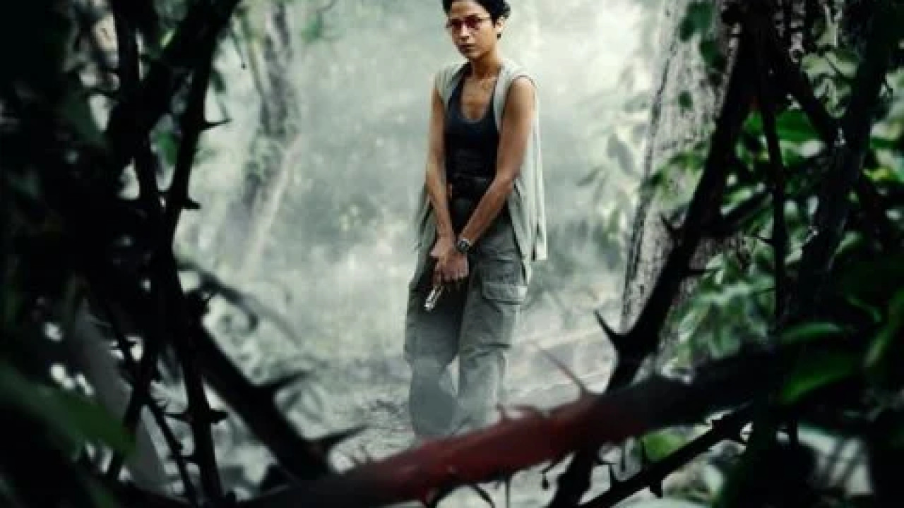 Borderless Fog ( 2024 )