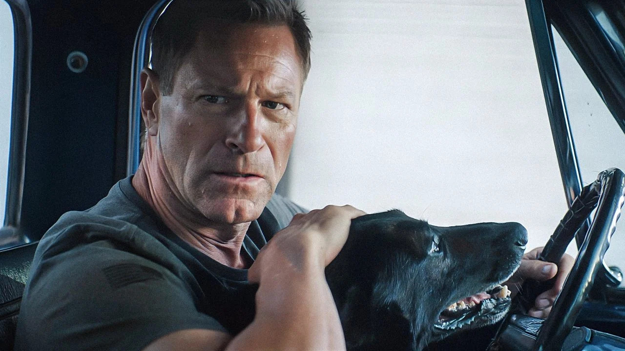 Muzzle City of Wolves ( 2025 )