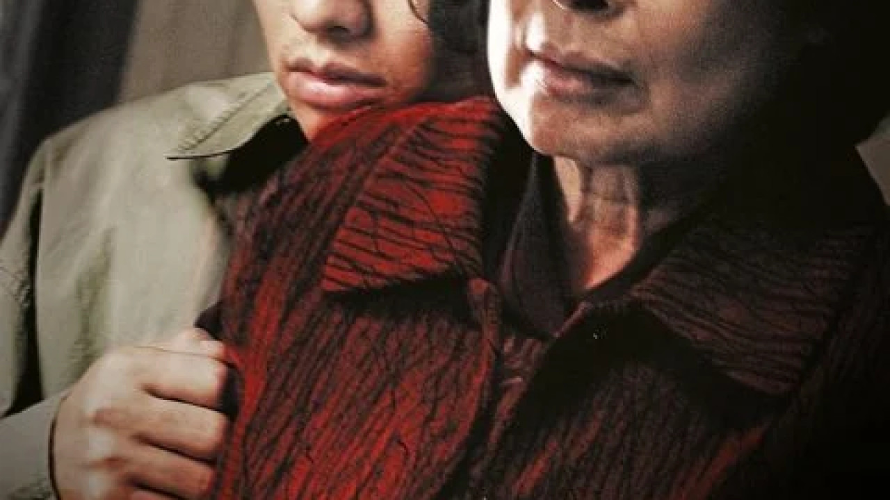 Mother ( 2009 )