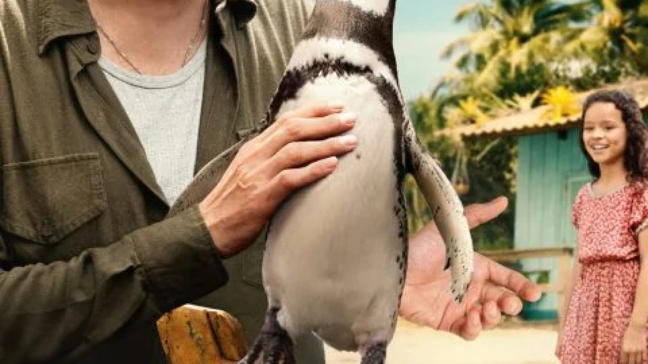 My Penguin Friend ( 2024 )