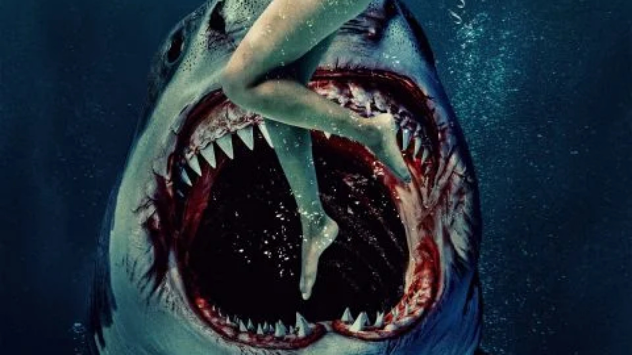 Something in the Water ( 2024 )