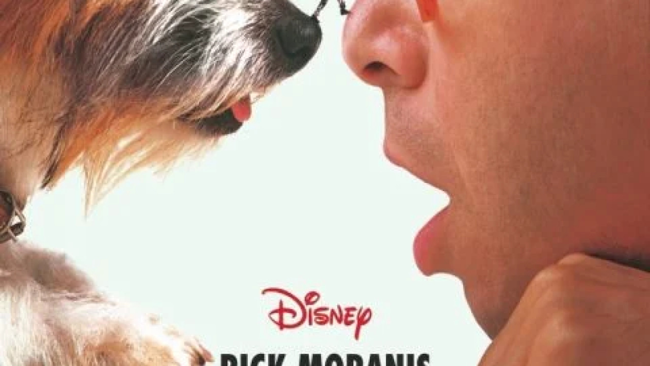 Honey, I Shrunk the Kids ( 1989 )