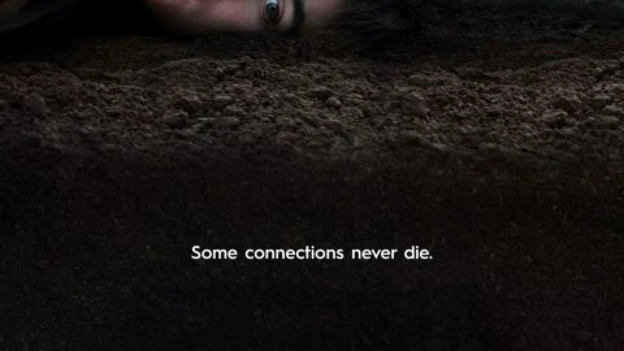 Mr. Harrigan's Phone ( 2022 )