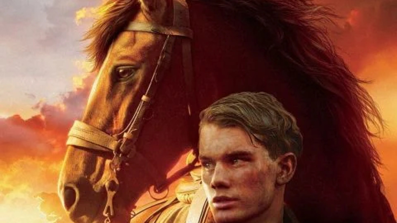 War Horse ( 2011 )