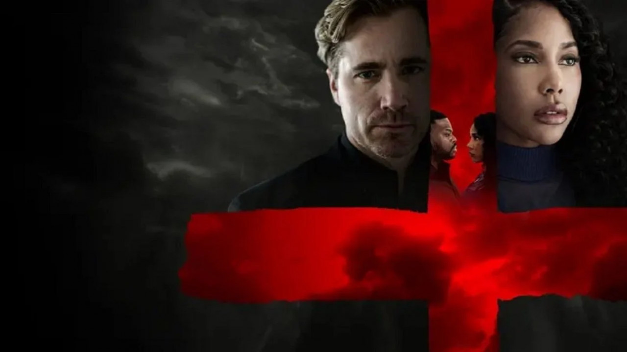 The Divorce Lawyer ( 2025 )