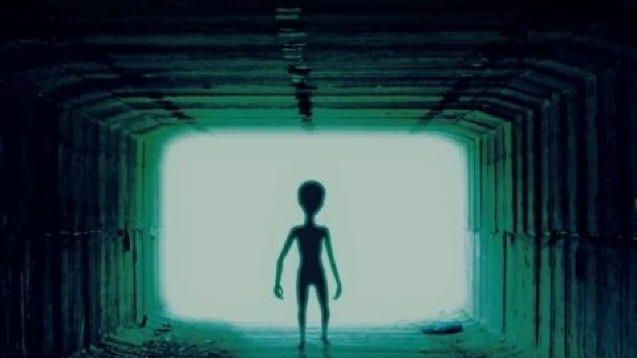 Night of the Skinwalkers ( 2024 )