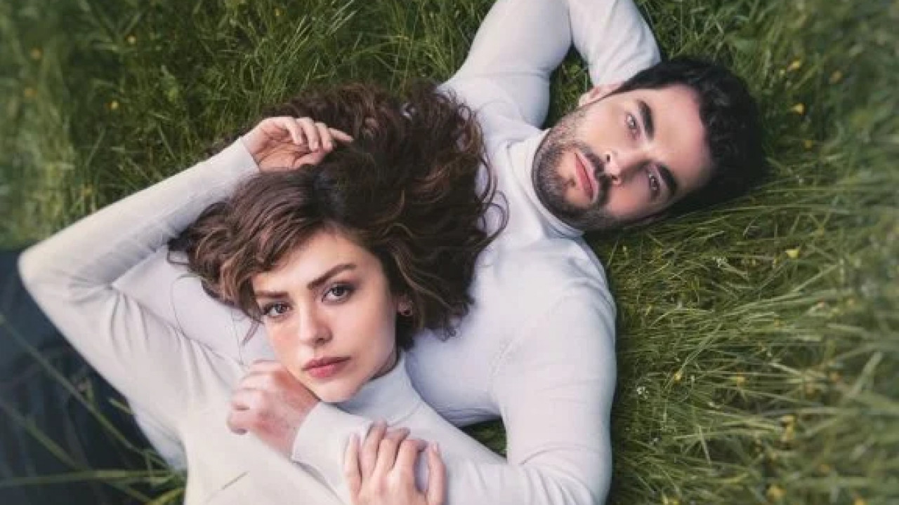 الازهار البرية