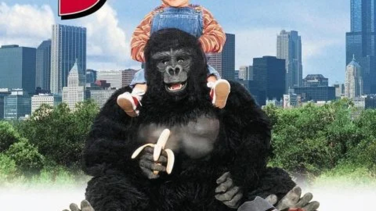 Baby's Day Out ( 1994 )