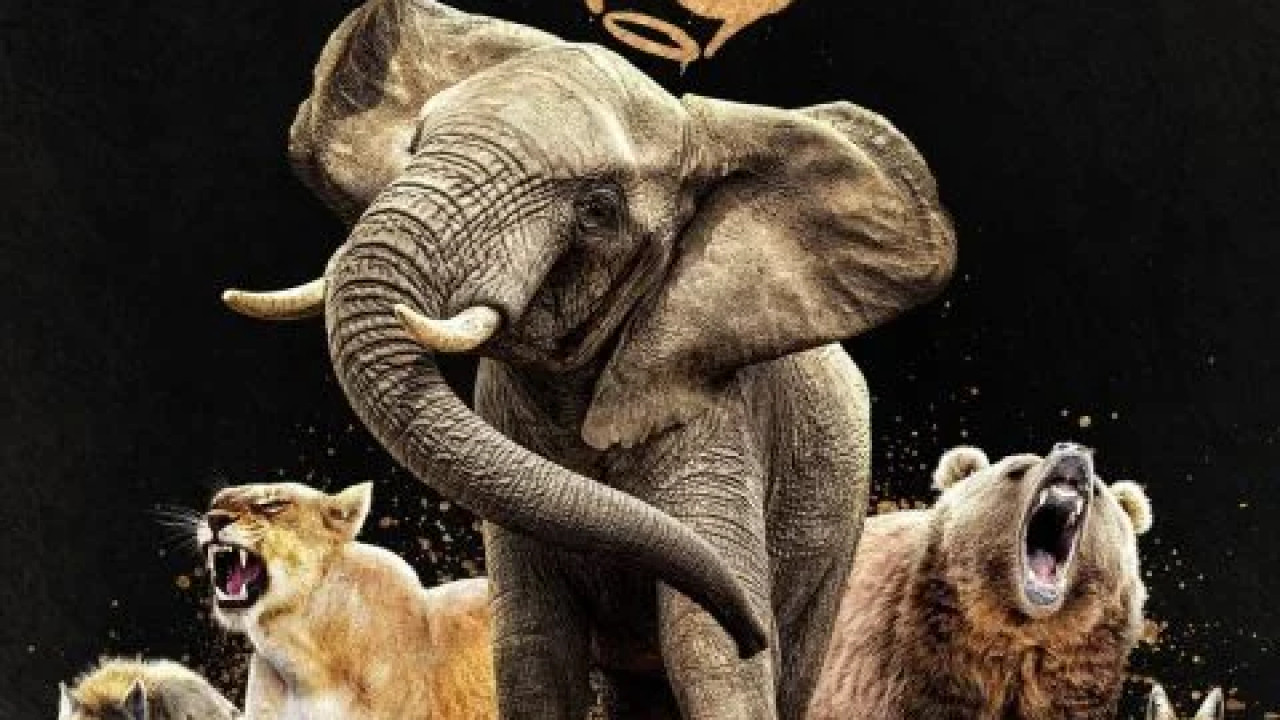 Queens 2024 الموسم الاول الحلقة 7