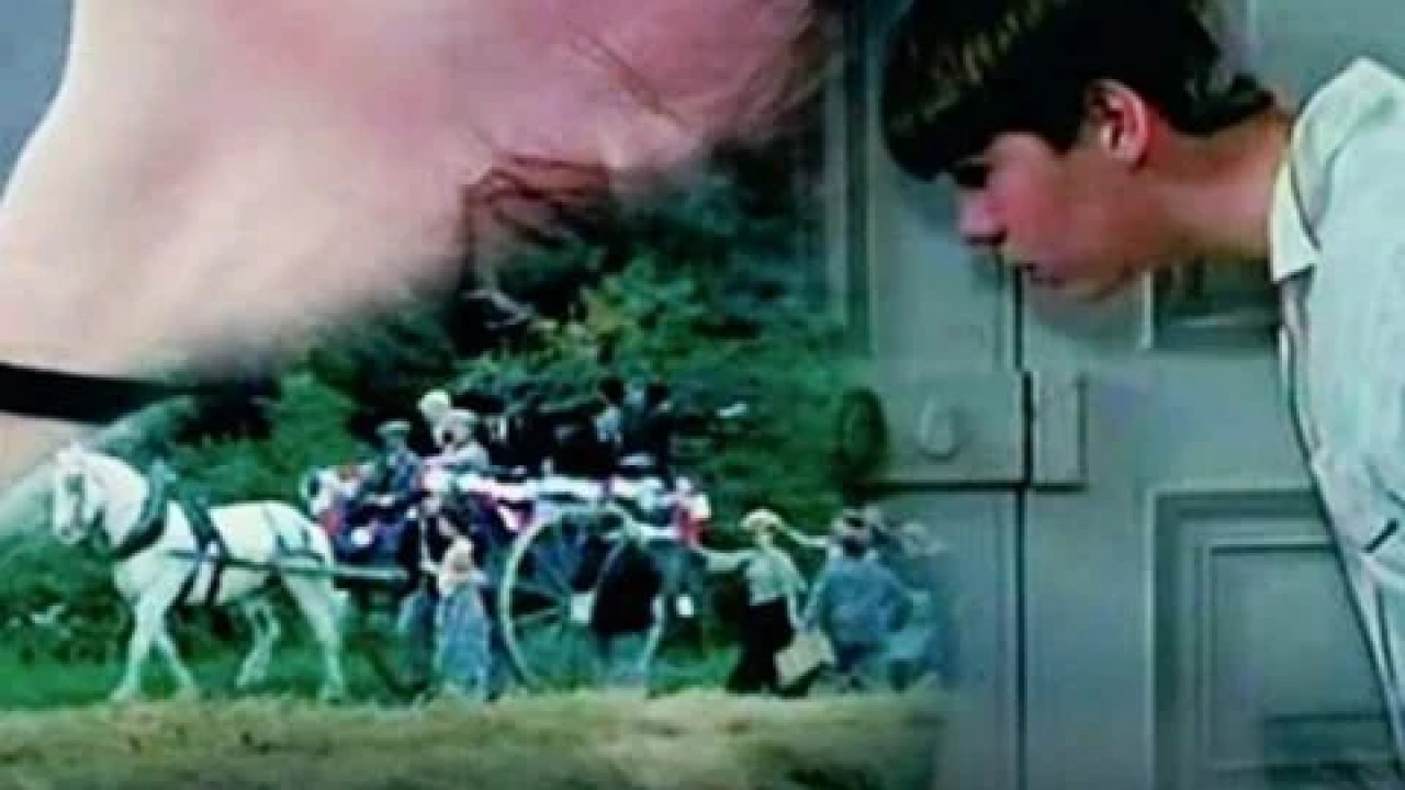 Exploits of a Young Don Juan ( 1986 )