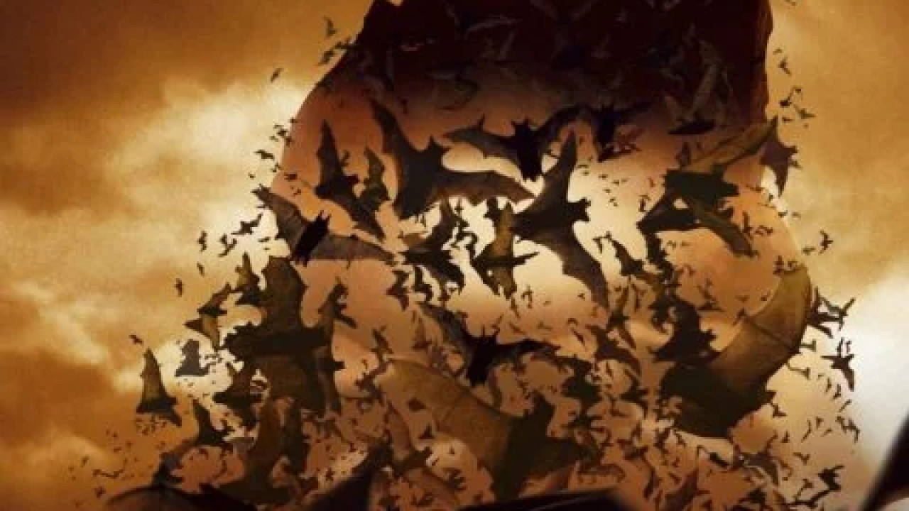 Batman Begins ( 2005 )