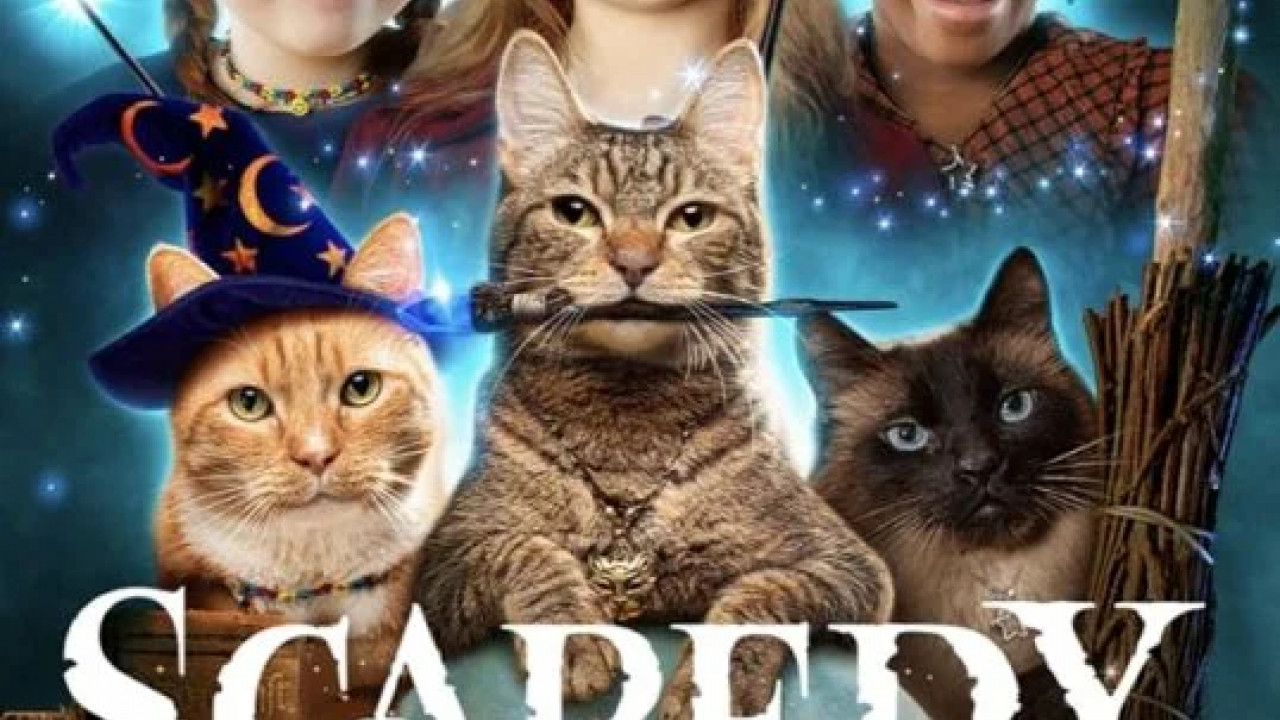 Scaredy Cats الحلقة 2