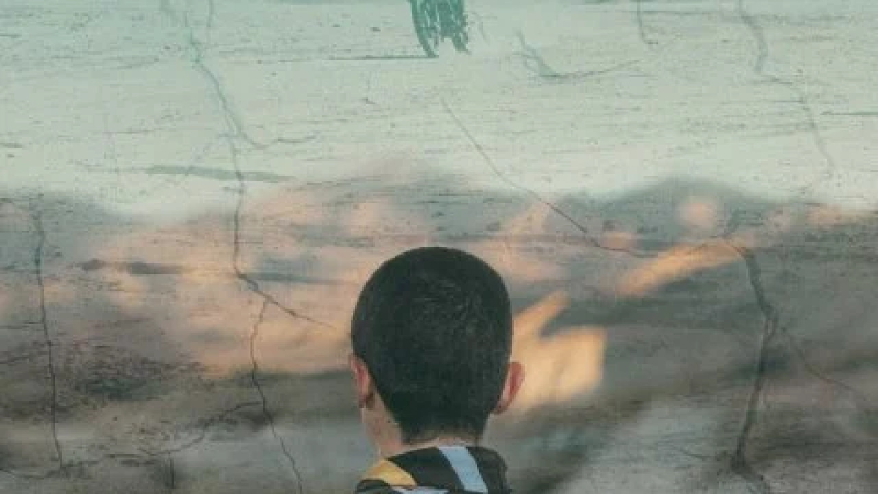 The Buildout ( 2024 )