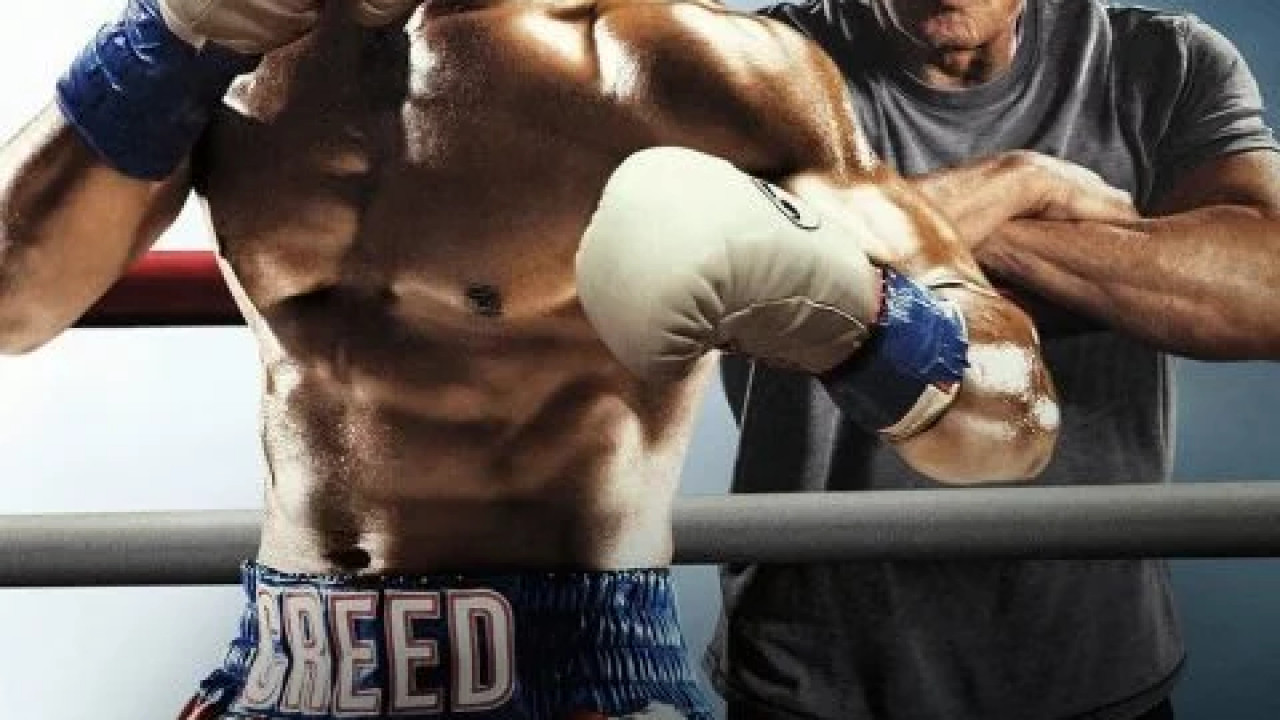 Creed II ( 2018 )