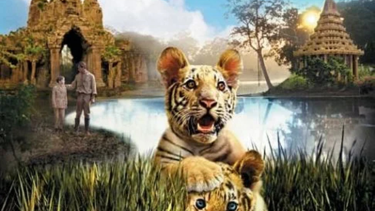 Two Brothers ( 2004 )