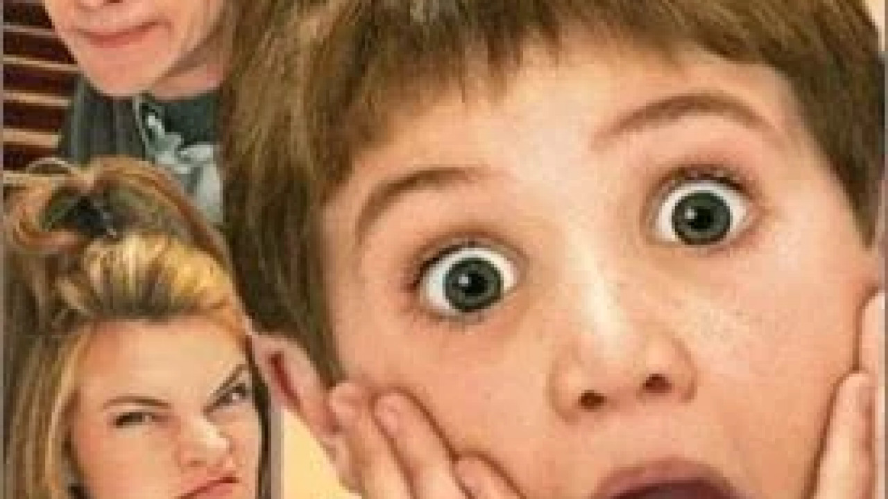 Home Alone 4: Taking Back the House ( 2002 )