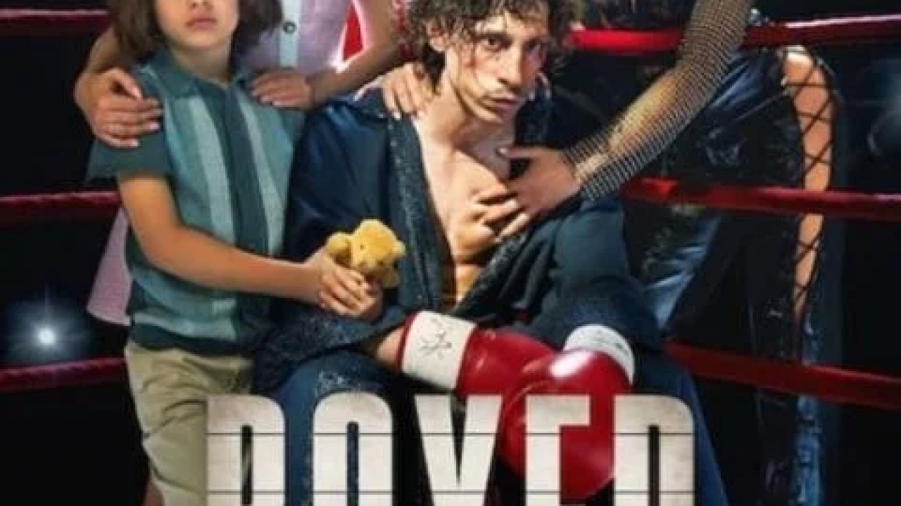 Boxer ( 2024 )