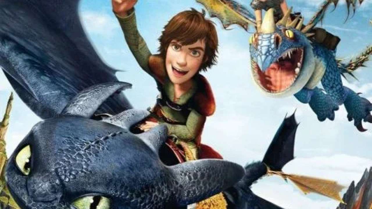 How to Train Your Dragon ( 2010 )