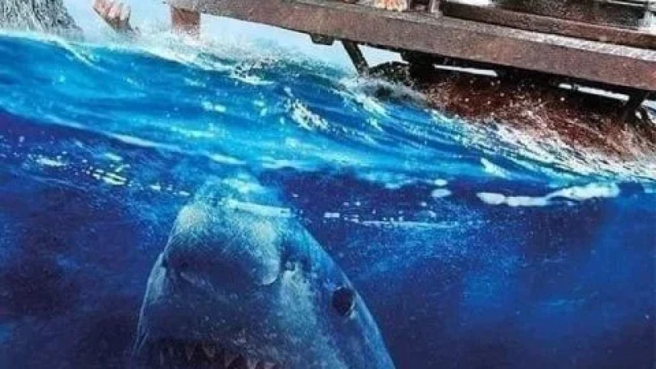 The Shallows ( 2016 )